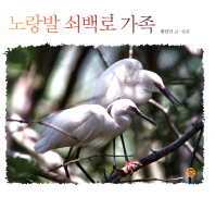 노랑발 쇠백로 가족 